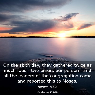 Picture 03 - Exodus 16:22 BSB - On the sixth day, they gathered twice as much - Bible Verse Picture