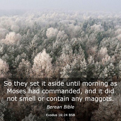 Picture 03 - Exodus 16:24 BSB - So they set it aside until morning as Moses had - Bible Verse Picture