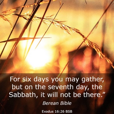 Picture 03 - Exodus 16:26 BSB - For six days you may gather, but on the seventh - Bible Verse Picture