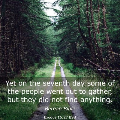Picture 03 - Exodus 16:27 BSB - Yet on the seventh day some of the people went - Bible Verse Picture