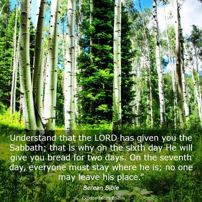 Picture 03 - Exodus 16:29 BSB - Understand that the LORD has given you the - Bible Verse Picture