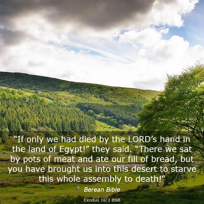 Picture 03 - Exodus 16:3 BSB - “If only we had died by the LORD’s hand in - Bible Verse Picture