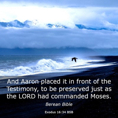 Picture 03 - Exodus 16:34 BSB - And Aaron placed it in front of the Testimony, to - Bible Verse Picture
