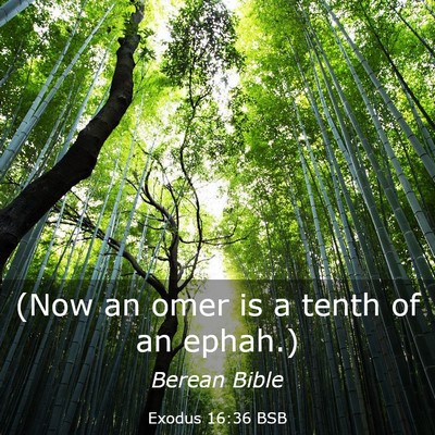 Picture 03 - Exodus 16:36 BSB - (Now an omer is a tenth of an - Bible Verse Picture