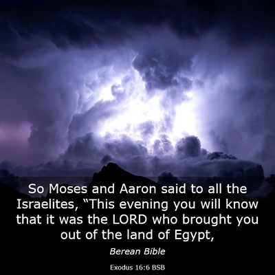 Picture 03 - Exodus 16:6 BSB - So Moses and Aaron said to all the Israelites, - Bible Verse Picture