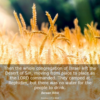 Picture 03 - Exodus 17:1 BSB - Then the whole congregation of Israel left the - Bible Verse Picture