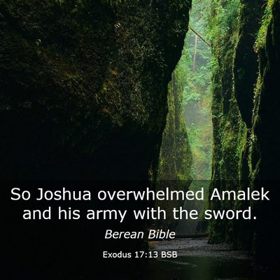 Picture 03 - Exodus 17:13 BSB - So Joshua overwhelmed Amalek and his army with - Bible Verse Picture