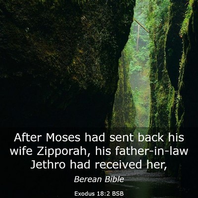 Picture 03 - Exodus 18:2 BSB - After Moses had sent back his wife Zipporah, his - Bible Verse Picture
