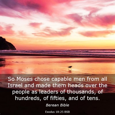 Picture 03 - Exodus 18:25 BSB - So Moses chose capable men from all Israel and - Bible Verse Picture