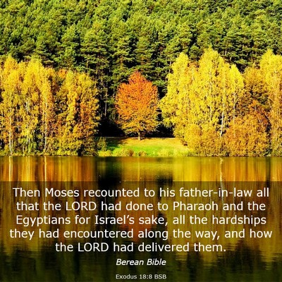 Picture 03 - Exodus 18:8 BSB - Then Moses recounted to his father-in-law all - Bible Verse Picture