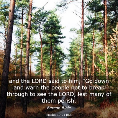 Picture 03 - Exodus 19:21 BSB - and the LORD said to him, “Go down and warn the - Bible Verse Picture