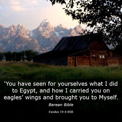 Picture 03 - Exodus 19:4 BSB - ‘You have seen for yourselves what I did to - Bible Verse Picture