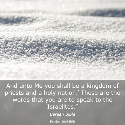 Picture 03 - Exodus 19:6 BSB - And unto Me you shall be a kingdom of priests and - Bible Verse Picture