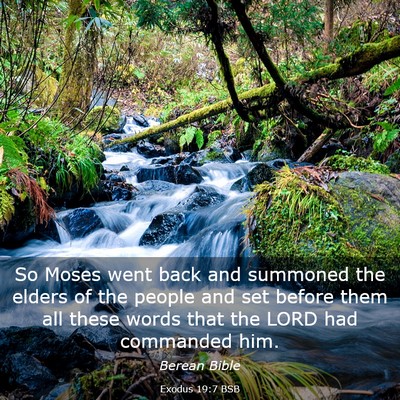 Picture 03 - Exodus 19:7 BSB - So Moses went back and summoned the elders of the - Bible Verse Picture