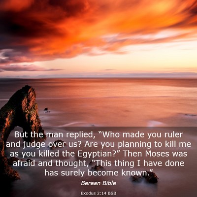 Picture 03 - Exodus 2:14 BSB - But the man replied, “Who made you ruler and - Bible Verse Picture