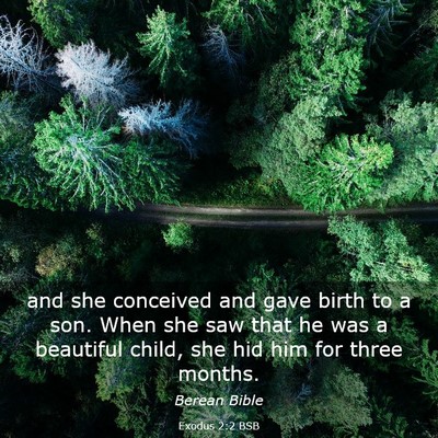 Picture 03 - Exodus 2:2 BSB - and she conceived and gave birth to a son. When - Bible Verse Picture