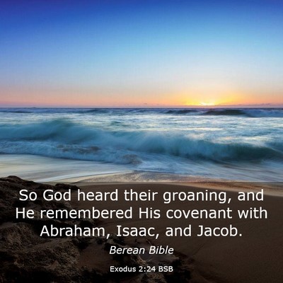 Picture 03 - Exodus 2:24 BSB - So God heard their groaning, and He remembered - Bible Verse Picture