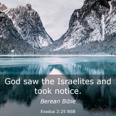 Picture 03 - Exodus 2:25 BSB - God saw the Israelites and took - Bible Verse Picture
