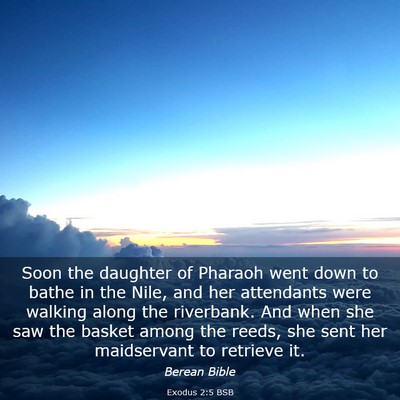 Picture 03 - Exodus 2:5 BSB - Soon the daughter of Pharaoh went down to bathe - Bible Verse Picture