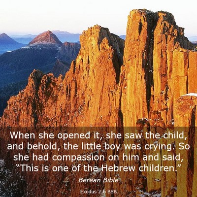 Picture 03 - Exodus 2:6 BSB - When she opened it, she saw the child, and - Bible Verse Picture