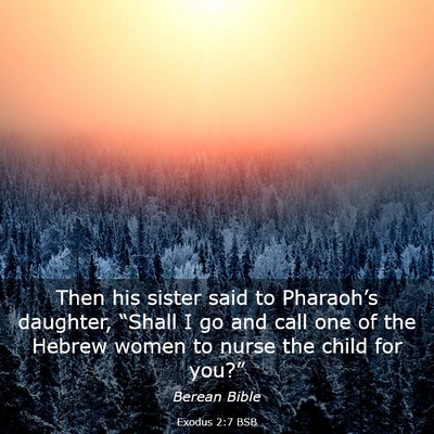 Picture 03 - Exodus 2:7 BSB - Then his sister said to Pharaoh’s daughter, - Bible Verse Picture