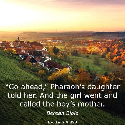 Picture 03 - Exodus 2:8 BSB - “Go ahead,” Pharaoh’s daughter told her. - Bible Verse Picture
