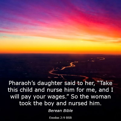 Picture 03 - Exodus 2:9 BSB - Pharaoh’s daughter said to her, “Take this - Bible Verse Picture
