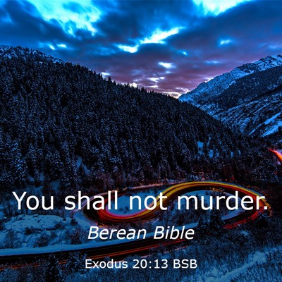 Picture 03 - Exodus 20:13 BSB - You shall not - Bible Verse Picture