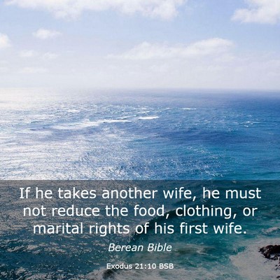 Picture 03 - Exodus 21:10 BSB - If he takes another wife, he must not reduce the - Bible Verse Picture