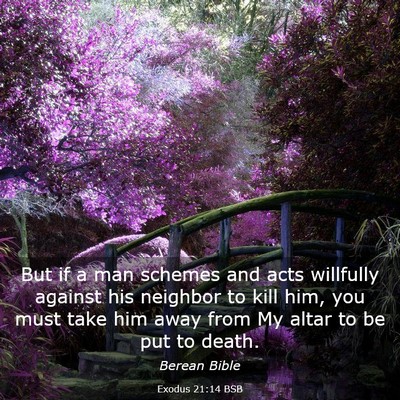 Picture 03 - Exodus 21:14 BSB - But if a man schemes and acts willfully against - Bible Verse Picture