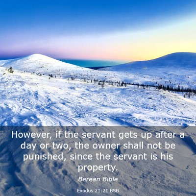 Picture 03 - Exodus 21:21 BSB - However, if the servant gets up after a day or - Bible Verse Picture