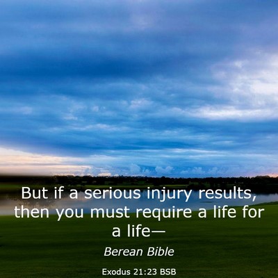 Picture 03 - Exodus 21:23 BSB - But if a serious injury results, then you must - Bible Verse Picture