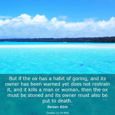Picture 03 - Exodus 21:29 BSB - But if the ox has a habit of goring, and its - Bible Verse Picture