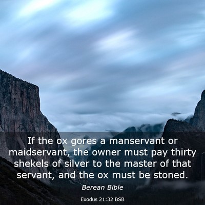 Picture 03 - Exodus 21:32 BSB - If the ox gores a manservant or maidservant, the - Bible Verse Picture