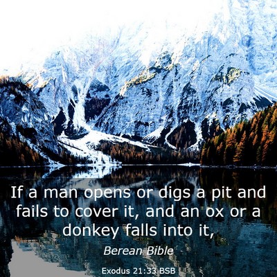 Picture 03 - Exodus 21:33 BSB - If a man opens or digs a pit and fails to cover - Bible Verse Picture