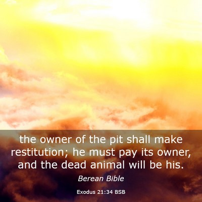Picture 03 - Exodus 21:34 BSB - the owner of the pit shall make restitution; he - Bible Verse Picture
