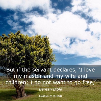 Picture 03 - Exodus 21:5 BSB - But if the servant declares, ‘I love my master - Bible Verse Picture