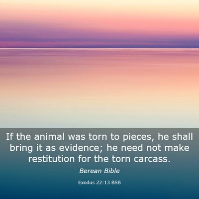 Picture 03 - Exodus 22:13 BSB - If the animal was torn to pieces, he shall bring - Bible Verse Picture