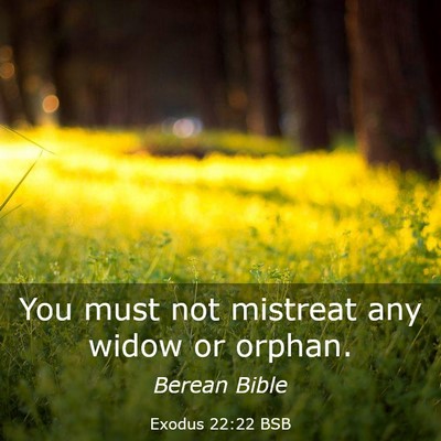 Picture 03 - Exodus 22:22 BSB - You must not mistreat any widow or - Bible Verse Picture