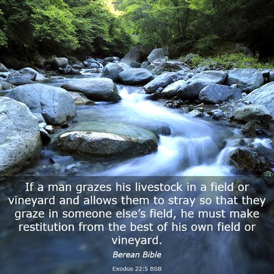Picture 03 - Exodus 22:5 BSB - If a man grazes his livestock in a field or - Bible Verse Picture