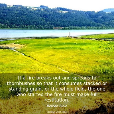 Picture 03 - Exodus 22:6 BSB - If a fire breaks out and spreads to thornbushes - Bible Verse Picture