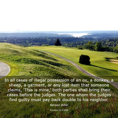 Picture 03 - Exodus 22:9 BSB - In all cases of illegal possession of an ox, a - Bible Verse Picture