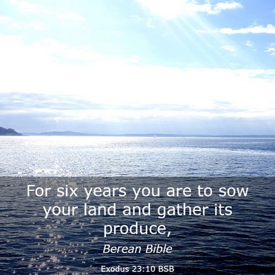 Picture 03 - Exodus 23:10 BSB - For six years you are to sow your land and gather - Bible Verse Picture