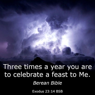Picture 03 - Exodus 23:14 BSB - Three times a year you are to celebrate a feast - Bible Verse Picture