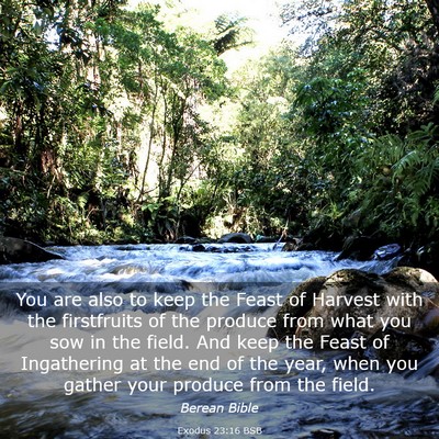 Picture 03 - Exodus 23:16 BSB - You are also to keep the Feast of Harvest with - Bible Verse Picture