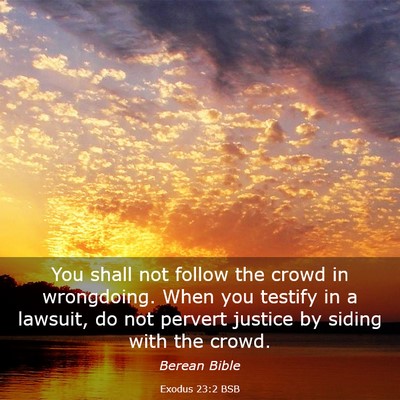 Picture 03 - Exodus 23:2 BSB - You shall not follow the crowd in wrongdoing. - Bible Verse Picture