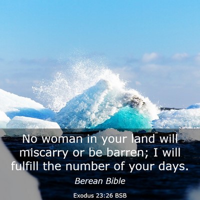 Picture 03 - Exodus 23:26 BSB - No woman in your land will miscarry or be barren; - Bible Verse Picture