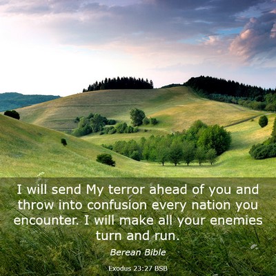 Picture 03 - Exodus 23:27 BSB - I will send My terror ahead of you and throw into - Bible Verse Picture