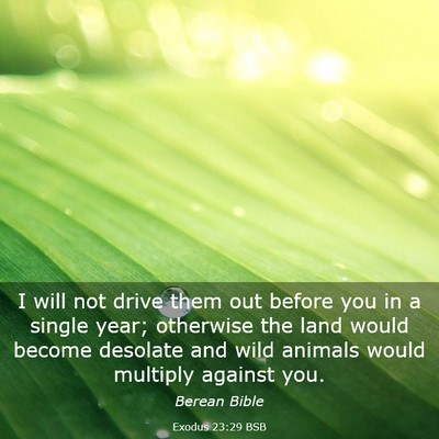 Picture 03 - Exodus 23:29 BSB - I will not drive them out before you in a single - Bible Verse Picture