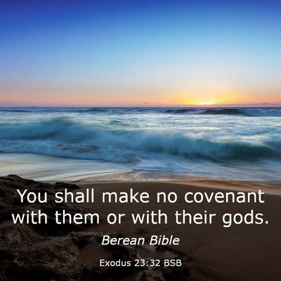Picture 03 - Exodus 23:32 BSB - You shall make no covenant with them or with - Bible Verse Picture